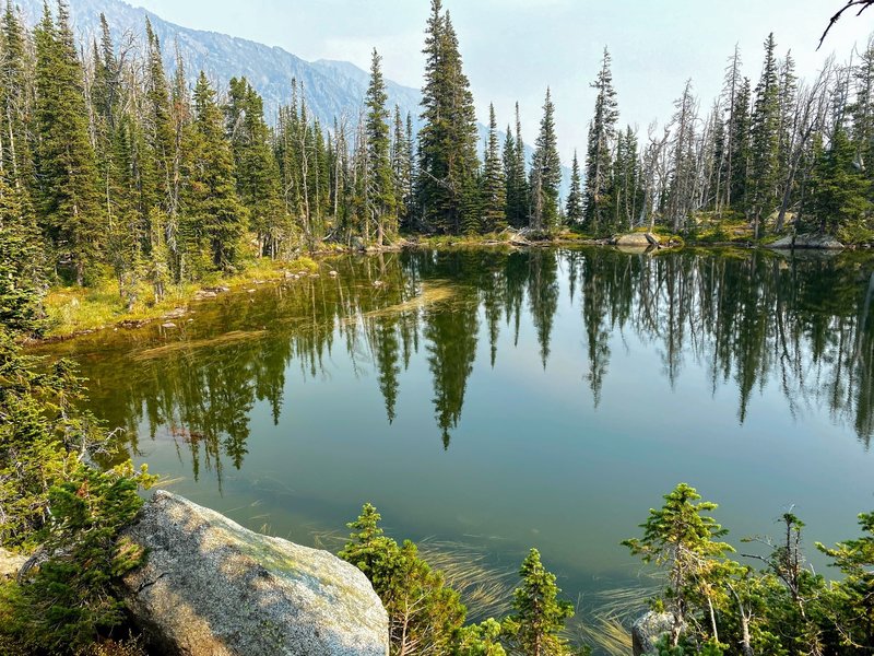 Conifers reflecting off of the alpine pond.