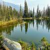 Conifers reflecting off of the alpine pond.