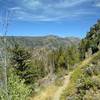 Long Lake Trail descends on the steep eastern side of Pine Creek Canyon, with views of the western side of Pine Creek Canyon in the distance across Pine Creek's valley.