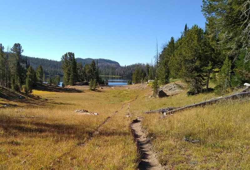 Through meadows, approaching Trapper Lake from the north on Summit Lake Trail.