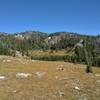 Summit Lake Trail passes cute, little, blue-green Gottfried Lake in the meadows and pines of the high country.