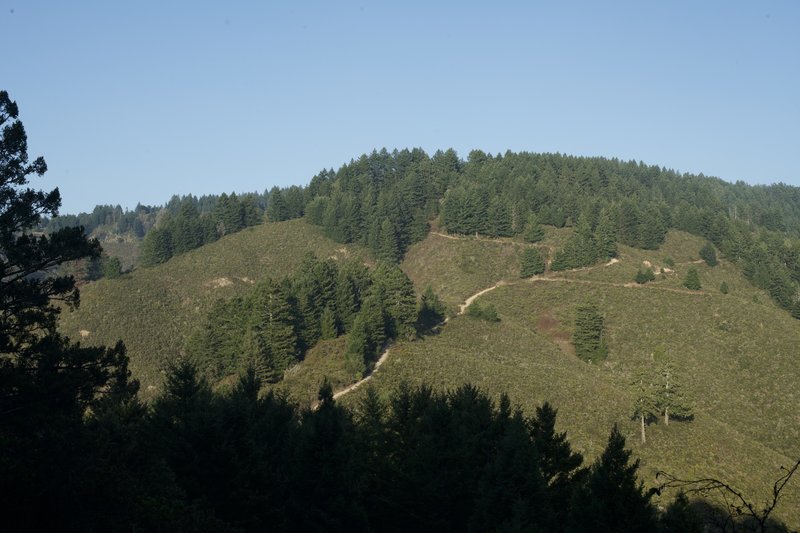 A view of the North Ridge Trail as it descends down the hillside. This is looking back as you climb up the hillside.