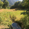 THE BATHTUB! Did my best to mark it on the map - there is a little campsite (maybe just a fire pit) with big cement boxes. The main trail continues straight through, but the bathtub is just a few steps down the little side path.