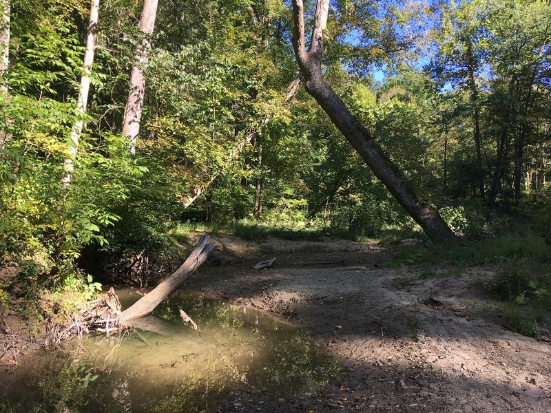 Stream crossing, low water.