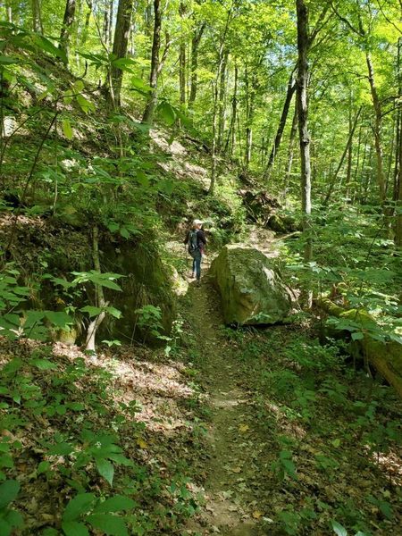 Split rock on Hollow Point Trail.