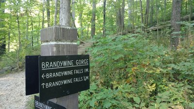 End of Stanford Trail and beginning of Brandywine Gorge Trail.