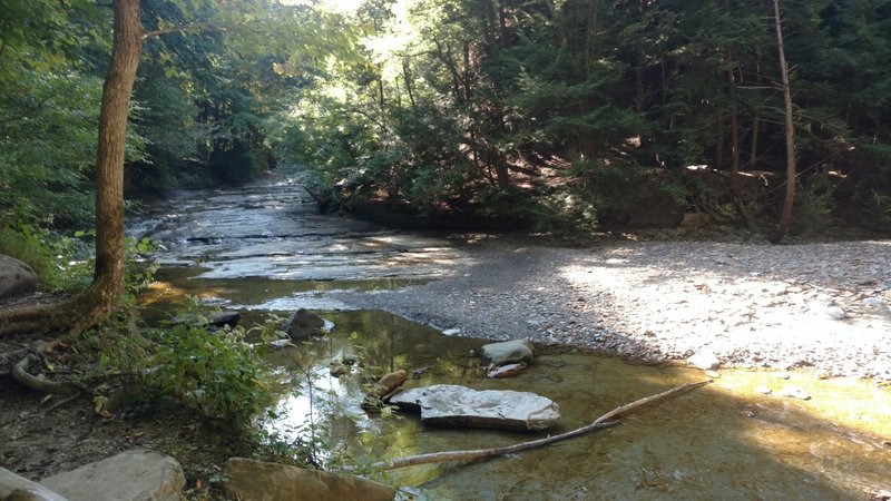 Stream below the falls.