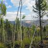 View toward Waldo Canyon Burn Scar