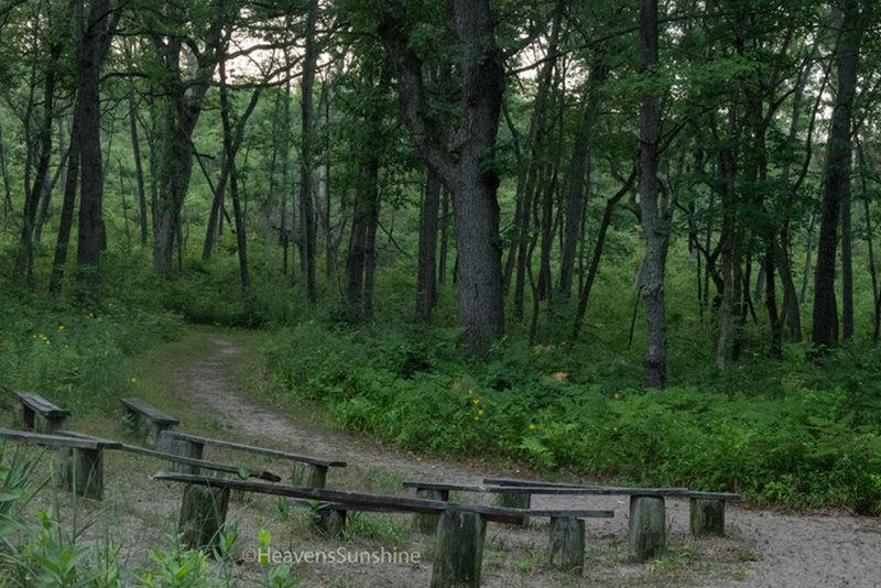 Classroom in the outdoors. Dune Ridge Trail - Indiana Dunes National Park