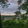 View between the trails at Cowles Bog.