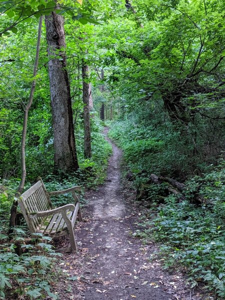 Early summer on the E trail