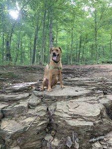 Took him off leash for the picture, but leashes are required at the park.