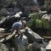 Climbing around the creek