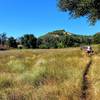 The trail carves through the edge of the meadow