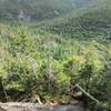 View of Grey Mtn, Mt Marcy peaking out behind Grey, and great views of Mt Skylight on your way up Cliff Mtn.