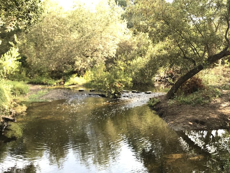 Creek at Carson's Crossing