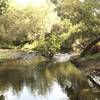 Creek at Carson's Crossing