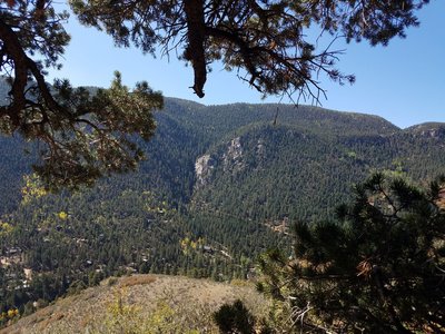 Peering out from under the ONLY shade on the trail