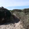 The sandy intersection of Marsh Trail and Dune Ridge Trail