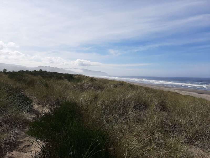 A sandy trail parallels the ocean through the dune grass.