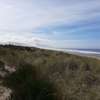 A sandy trail parallels the ocean through the dune grass.