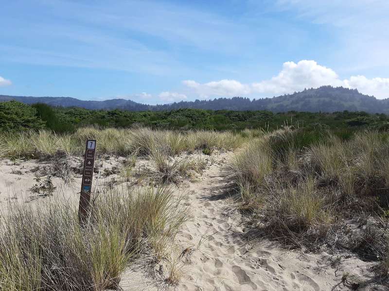 The sandy intersection of the Marsh Trail and the Bay Trail