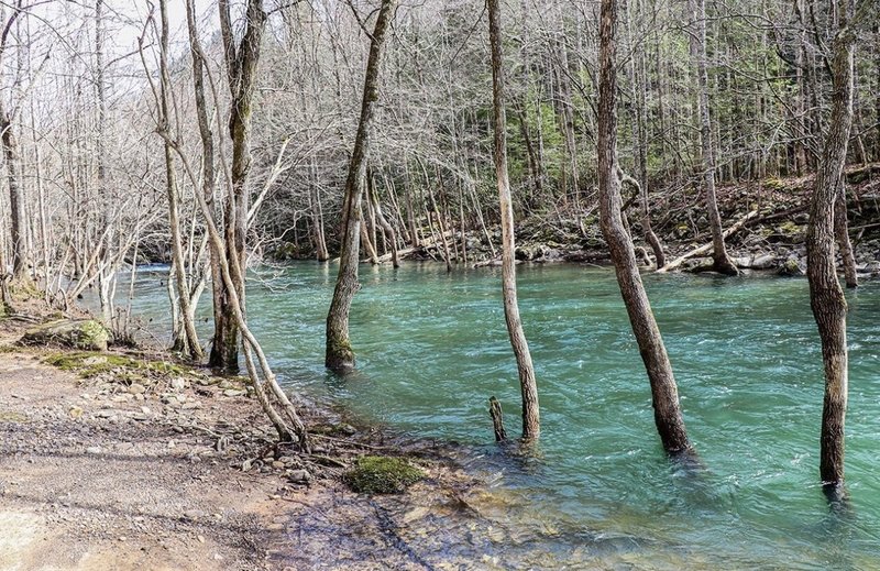 The Trail leading to the Ranger Falls Crossing