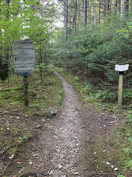 MST eastbound entering the Middle Prong Wilderness.  No signs from here until you hit NC 215