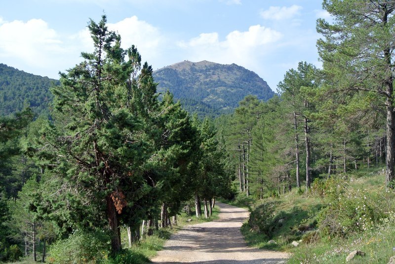 Pista de acceso a la senda del barranco de la Pegunta