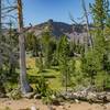 Looking across a meadow toward the rim over the lake.