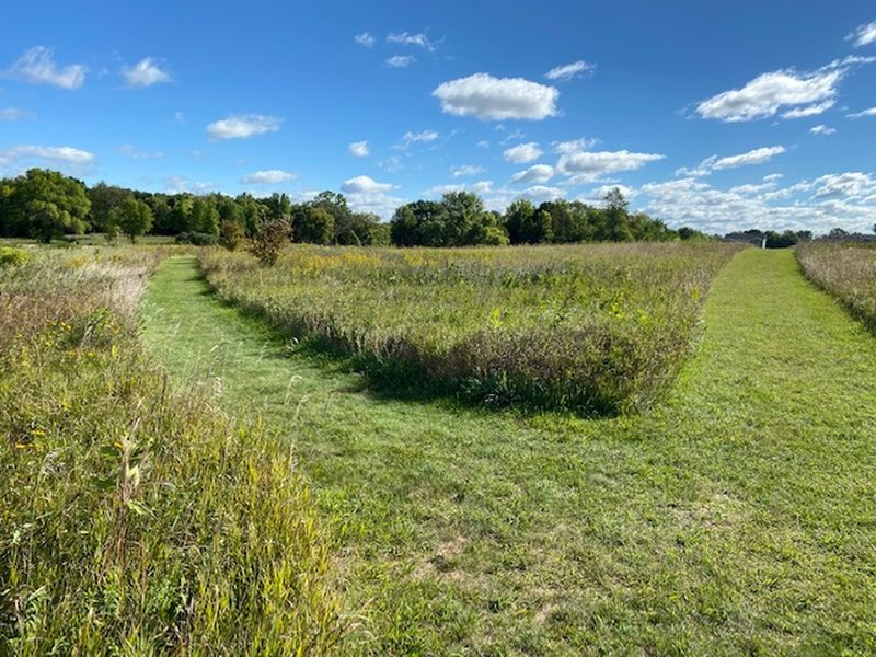 Some of the trail is made of mowed paths, this photo shows the easiest terrain on the trail.