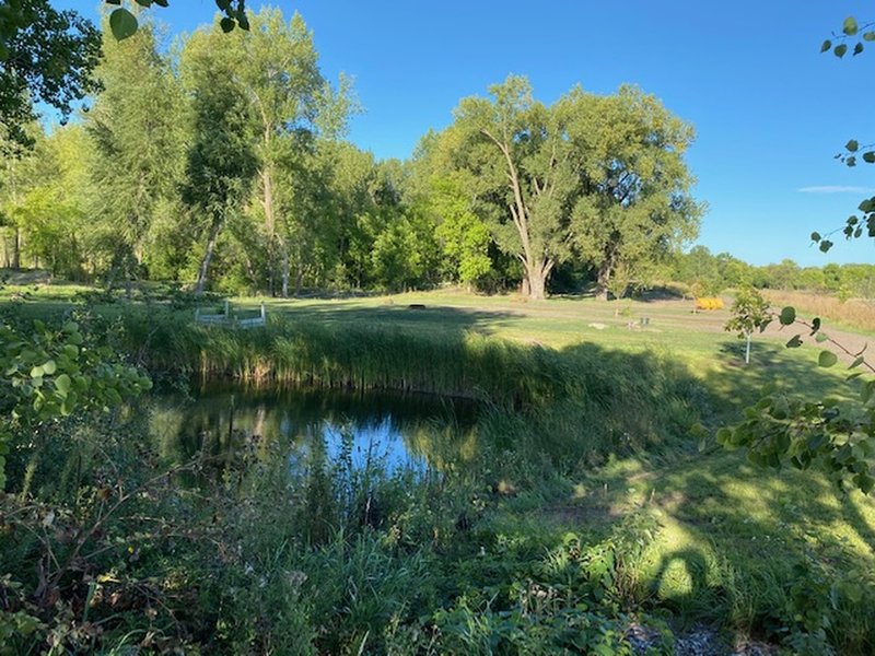 A rustic campground is being developed near the park entrance, planned to open in 2021. The city secured grant funding and donations to help transform this area that was an old gravel pit into an outdoor recreation opportunity for the community.