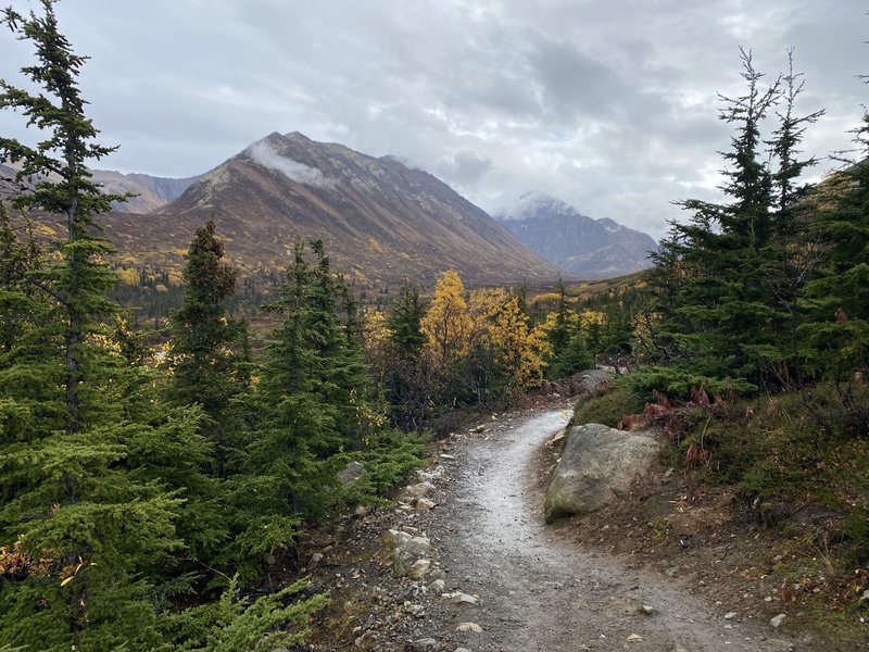 First portion of the trail.