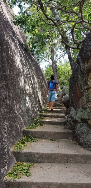 A well maintained section of Kudumbigala Monastary Trail.