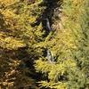 View of Little Hellgate Falls.