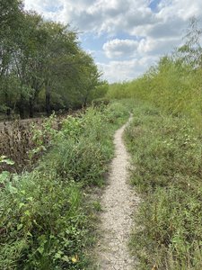Coming around the backside of Wetland Trail