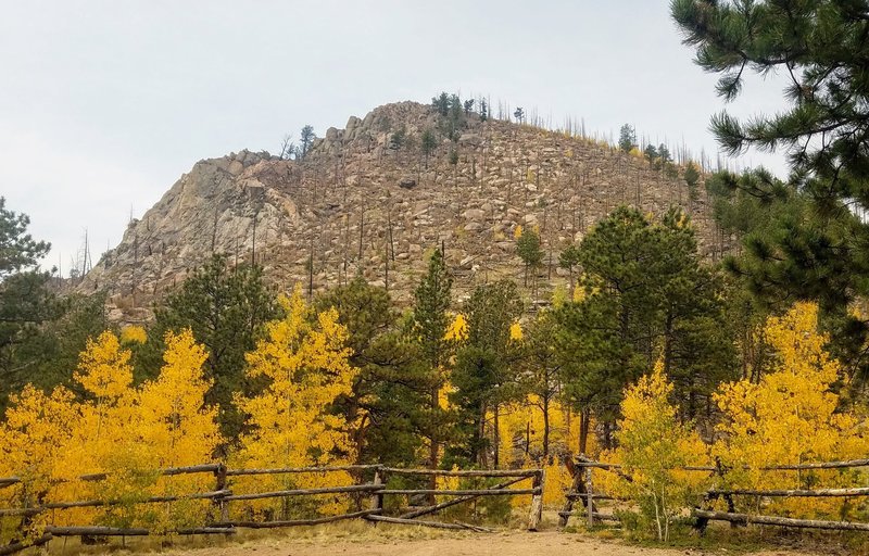 Fall Foliage. View of Signal Butte from TH.