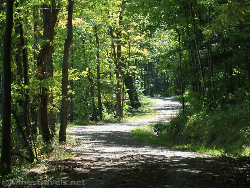 The Canadice Lake Haul Road