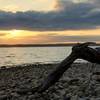 Kentucky Lake at Sunset near Moss Creek Day Use Area