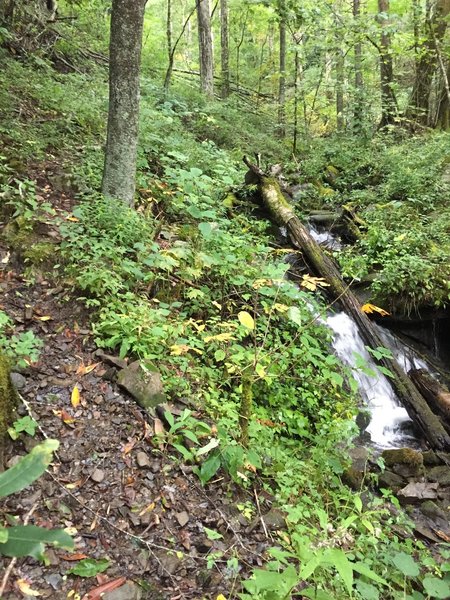 Initial descent is steep, but littered with mini-falls and rapids (location approximate).