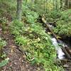 Initial descent is steep, but littered with mini-falls and rapids (location approximate).