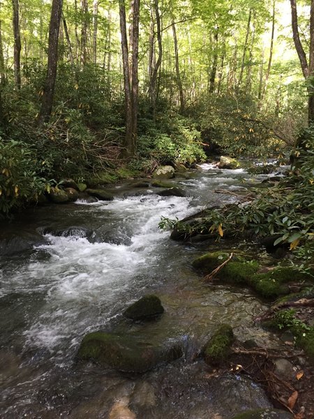 More picturesque rapids, if you're into that sort of thing (location approximate).