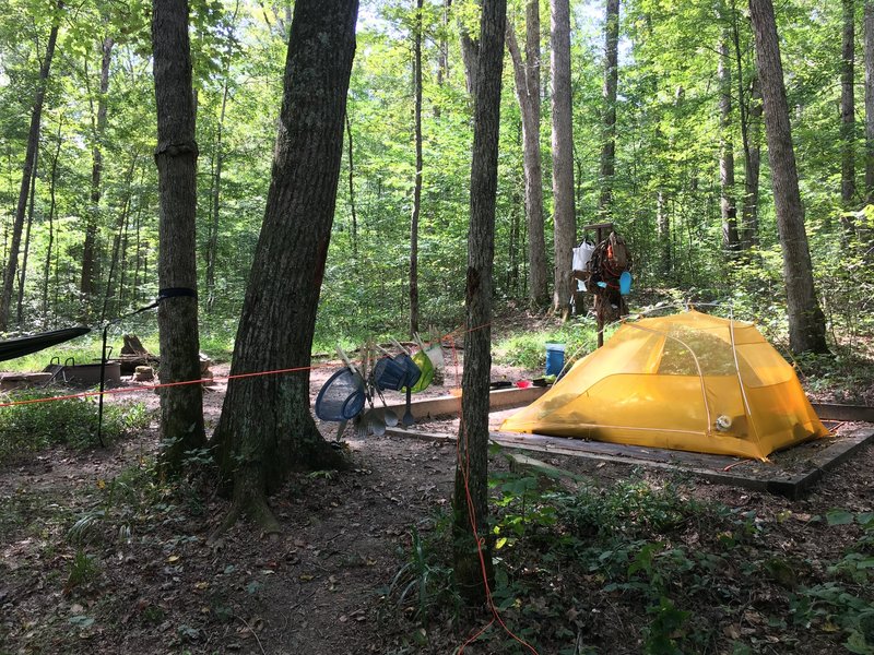 Raymer Hollow campsite