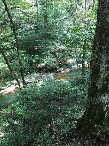 Buffalo Creek Dry Prong below the Raymer Hollow campsite.