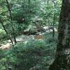 Buffalo Creek Dry Prong below the Raymer Hollow campsite.