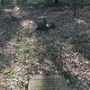 Grave of Elmer Lenard Elmore in Sand Spring Cemetery