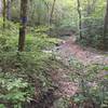 Dry Prong from the Buffalo Creek Trail