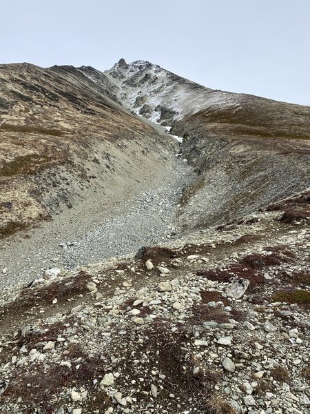 Looking toward the summit around 4,000' of elevation.