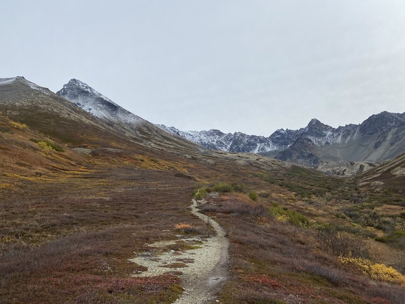 The main trail around the tree line altitude.