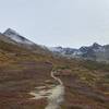 The main trail around the tree line altitude.